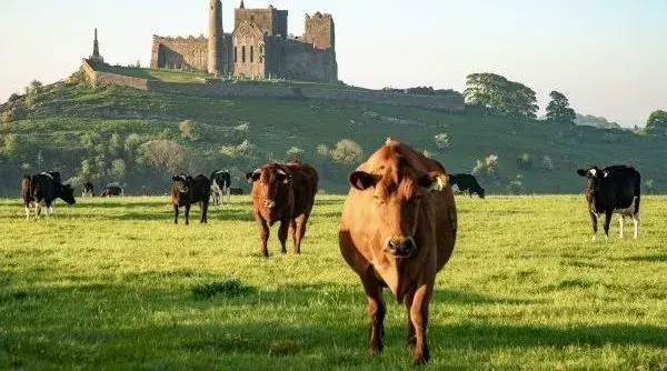 Blarney Castle and Rock of Cashel