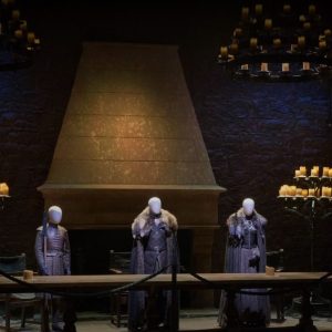 Game of Thrones Studio Tour with Private Chauffeur from Dublin