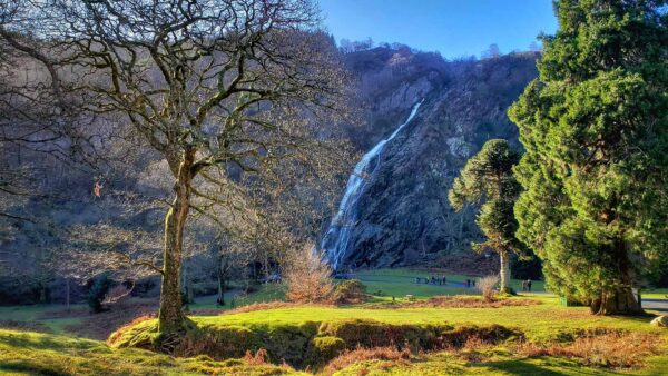 A wide shot of the waterfall at Glendalough, Ireland, in the late afternoon with trees in the forground