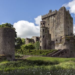 Blarney Castle and Rock of Cashel Private Chauffeur Tour