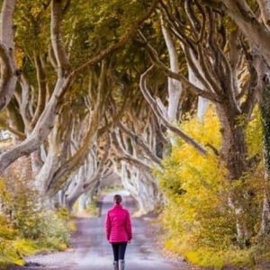 Giants Causeway and Belfast 2-Day Private Chauffeur Tour from Dublin