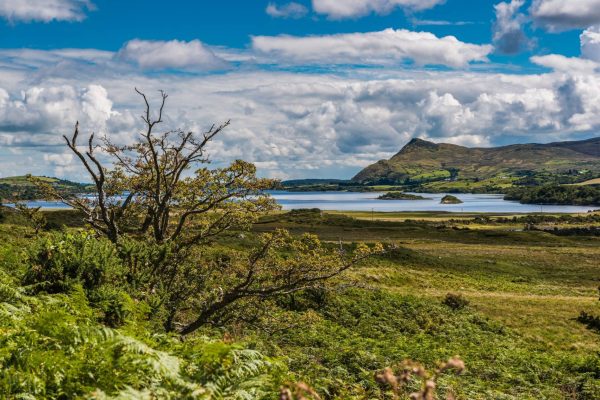 A lake and mountain in Connemara, included in our 2-day Connemara and Galway City private Chauffeur tour.