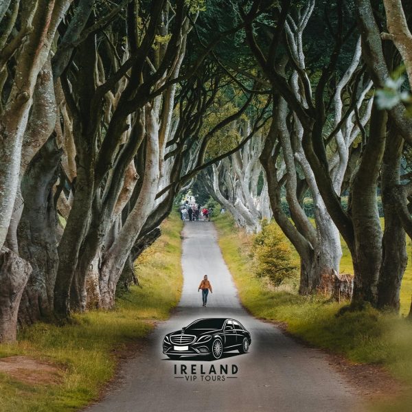Private Tours of Ireland