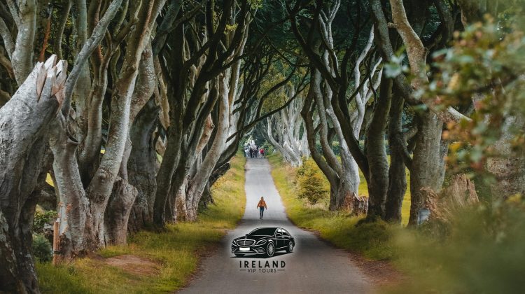 Private Tours of Ireland: Exploring the Realm of Game of Thrones