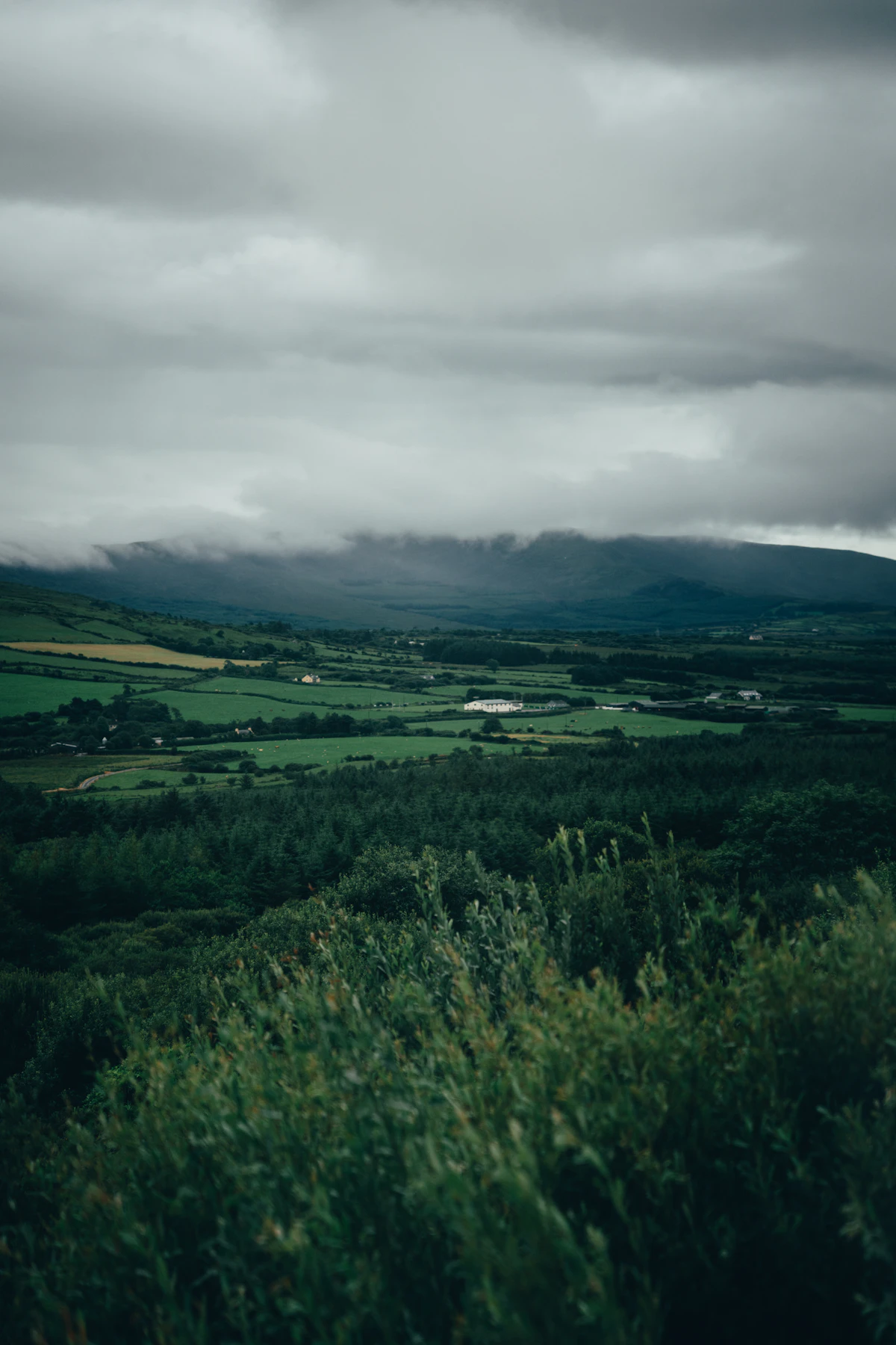 Ring of Kerry rolling green hills visible with a local private guide
